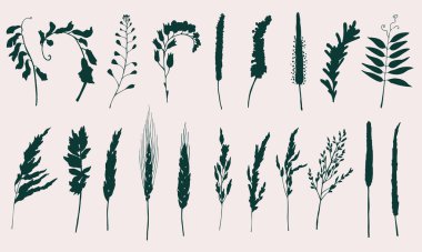 Alan ve çayır bitkilerinin siluetlerinin vektör çizimleri.