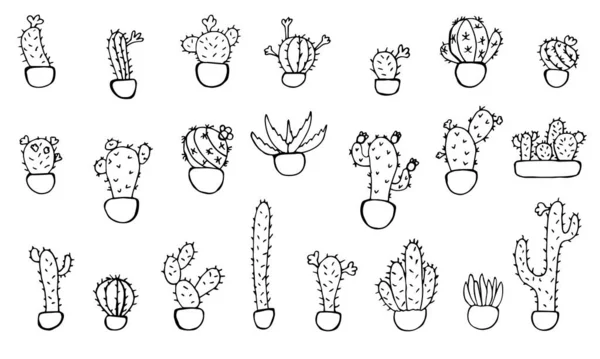 Samling Vektor Klotter Illustrationer Kaktusar Krukor Frihandsritningar Isolerade Vit Bakgrund — Stock vektor