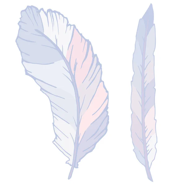 Frihandsritning av fjädrar i fina pastellfärger. vektor illustration isolerad på vit bakgrund. — Stock vektor
