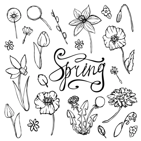 봄 꽃에 대한 낙서 그림 세트. 하얀 배경에 따로 붙어 있는 계절성 꽃무늬 미술 소장품 — 스톡 벡터