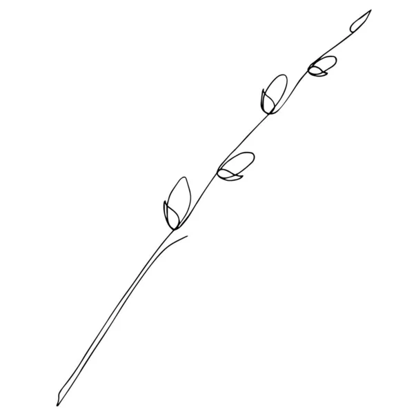 Weidenzweig mit einer Linie gezeichnet. Minimalistische Vektorillustration des Frühlings — Stockvektor