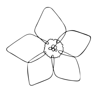 Linart tarzında bir bahar çiçeğinin vektör çizimi. Narcissus otu tek bir çizgiyle çizilmiş. Beyaz arkaplanda izole