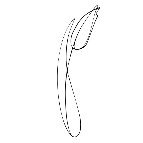 郁金香呈线型 Vessenius花画在一条线上 在白色背景上孤立的向量图 — 图库矢量图片