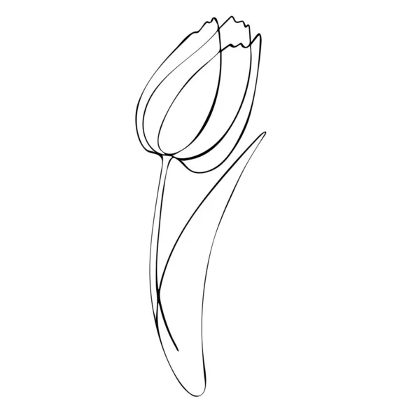 Tulpenknospe Handgezeichnet Floristische Vektorillustration Einem Frühlingsthema Isoliert Auf Weißem Hintergrund — Stockvektor