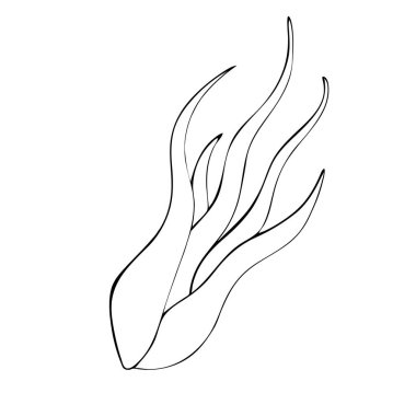 Egzotik bir hava bitkisinin görüntüsü. Tillandsia caput-medusae 'nin vektör illüstrasyonu. Serbest çizim