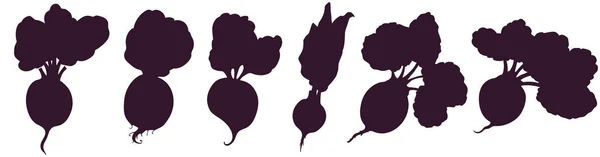 Collection Silhouettes Root Beetroot Vegetable Leaves Безкоштовний Малюнок Векторна Ілюстрація — стоковий вектор