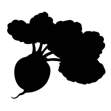 Siluet kök sebze ya da pancar, yapraklı sebze. Serbest çizim. Vektör çizimi. Yaz mevsimi.