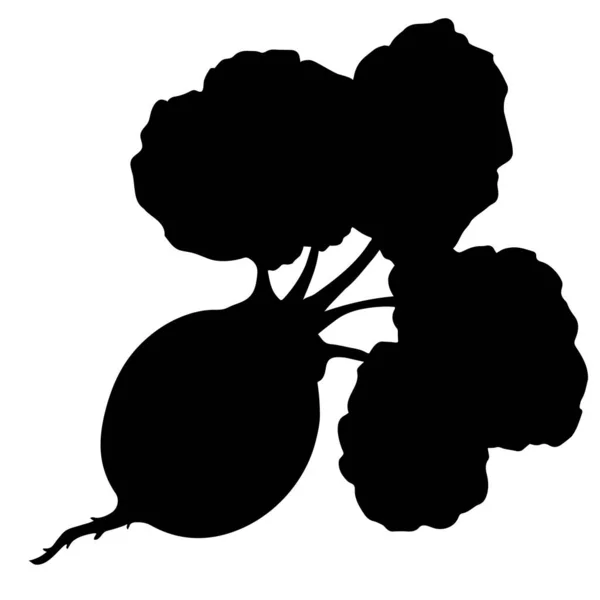 Silhouette Wurzelgemüse Oder Rüben Gemüse Mit Blättern Freihandzeichnen Vektorillustration Sommersaison — Stockvektor