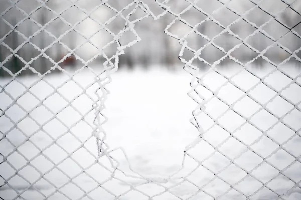 Hole in the steel mesh in winter. Snow and ice. — Stock Photo, Image