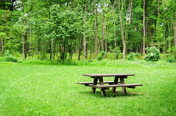 Wooden bench and table in the forest.