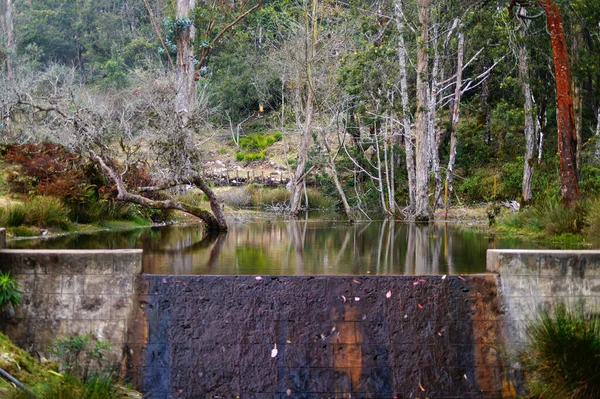 Bund Byggdes Över Bäckarna För Att Bromsa Vattnet Kodaikanal Tamilnadu — Stockfoto