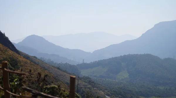印度喀拉拉拉邦Idukki市Iravikulam国家公园的山区山谷 — 图库照片