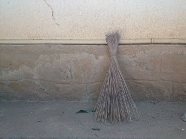 Duvarda hindistan cevizi yapraklı çim süpürgesi .