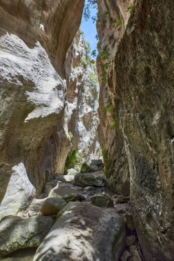 Kıbrıs. Peyia. Avakas vadisi. Dik kayalıklar tepemizde.