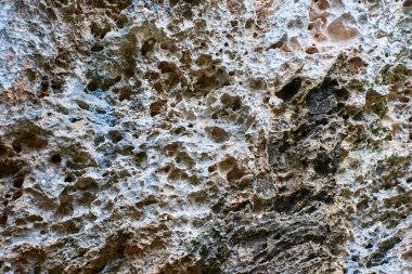 Küba. Varadero. Varaikakos Ekolojik Rezerv. Kireçtaşı kaya dokusu