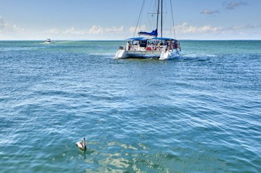 Cuba. Varadero Dolphinarium. Catamaran and pelican