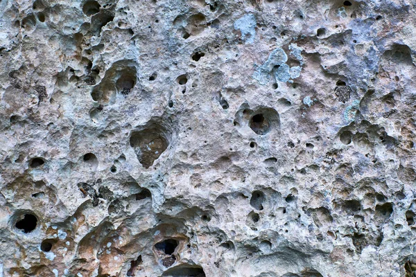 Küba. Varadero. Varaikakos Ekolojik Rezerv. Kireçtaşı kaya dokusu