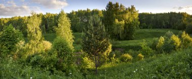 Russia. Moscow. Panorama of the floodplain of the Konkovsky stream in the Bitsevsky forest at sunset