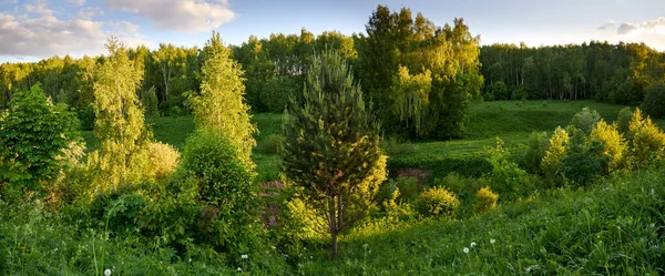 Russia. Moscow. Panorama of the floodplain of the Konkovsky stream in the Bitsevsky forest at sunset