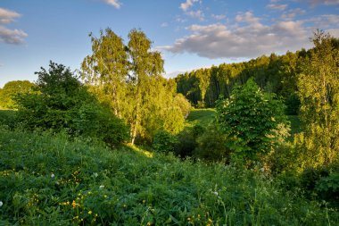 - Rusya. Moskova. Bitsevsky Ormanı 'nı geçen Konkovsky deresinin taşkın ovası