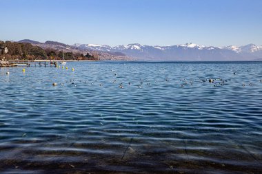 Transparent waters of lake Geneva and the Alps seen from Lausanne, Switzerland
