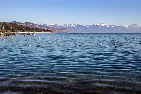 Transparent Waters Lake Geneva Alps Seen Lausanne Switzerland — Stock Fotó