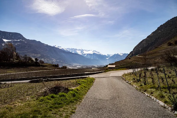 Saillon Suíça 2021 Martigny Crevasse Vinhas Primavera Caminhada Pelo Farinet — Fotografia de Stock