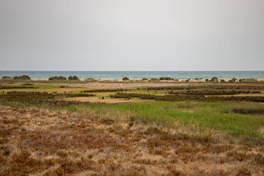 Görüntü Mirador de la Desembocadura, Delta del Llobreat, El Prat, Katalonya, İspanya 