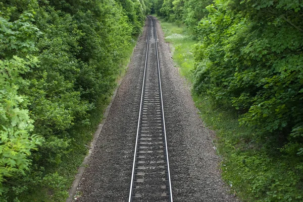 Uma Única Linha Ferroviária Que Atravessa Uma Floresta — Fotografia de Stock