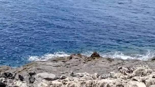 Vågor Kraschade Stranden Malta Medelhavet — Stockvideo