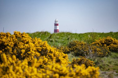Suffolk kıyısındaki Orford Ness feneri, İngiltere
