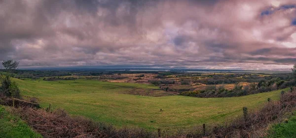 Een Panoramisch Uitzicht Het Disclaimland Godlingston Heath Dorset Engeland — Stockfoto