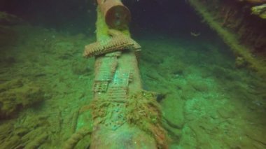 Truk Lagoon, Mikronezya 'da bulunan gemilerde bulunan küçük mühimmat.