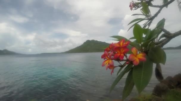 特鲁克泻湖伊顿岛的风景 — 图库视频影像