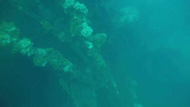 Naufragio Barco Incrustado Coral Laguna Truk Micronesia — Vídeo de stock