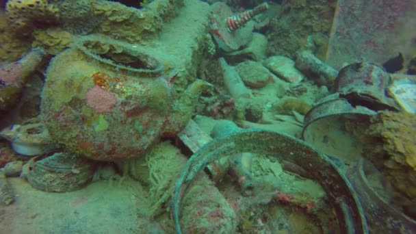 Artefacts Sur Pont Une Épave Japonaise Seconde Guerre Mondiale Truk — Video