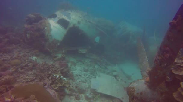 Wrak Emily Latającej Łodzi Truk Lagoon — Wideo stockowe