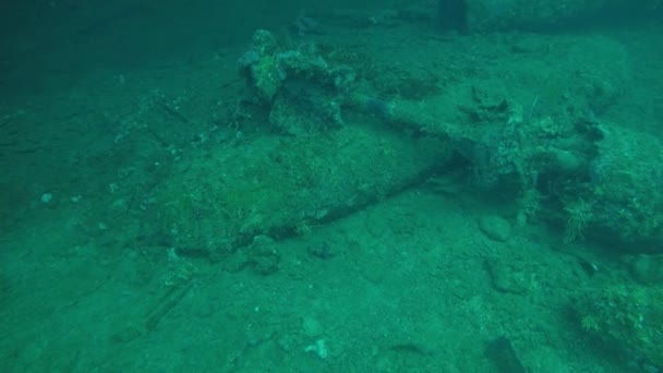 Torpedos Lanza Larga Bodega Buque Carga Japonés Hundido Truk Lagoon — Vídeo de stock
