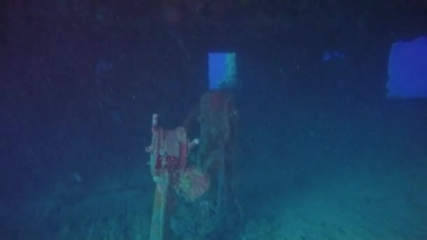 Die Brücke Eines Schiffswracks Der Truk Lagoon Mikronesien — Stockvideo