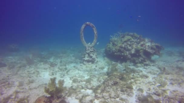 Musa Museo Arte Submarino Isla Mujeres Cerca Cancún México — Vídeo de stock