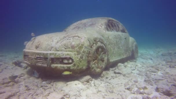 Musa Museo Arte Submarino Isla Mujeres Cerca Cancún México — Vídeo de stock