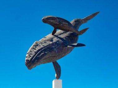 Baja California, Meksika 'da Adolfo Lopez Mateos' u izleyen balinanın anne ve yavrusunun heykeli.