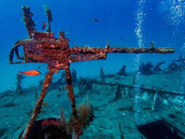 Cirkewwa, Malta 'da devriye botu P29 (Boltenhagen)