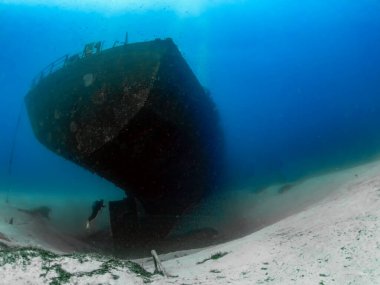 The wreck of the Um El Faroud off the coast of Malta clipart