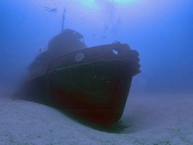 Malta 'daki Rozi römorkörünün enkazı.