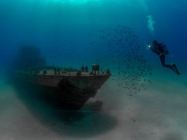 Comino, Malta 'daki P31 devriye botunun enkazı.