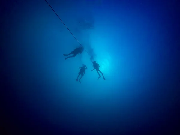 Silhouettes Plongeurs Sur Une Ligne Ascension — Photo
