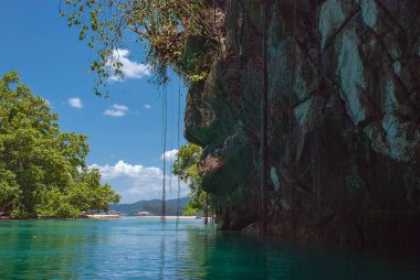Near the entrance to the Underground River in Palawan, Philippines clipart