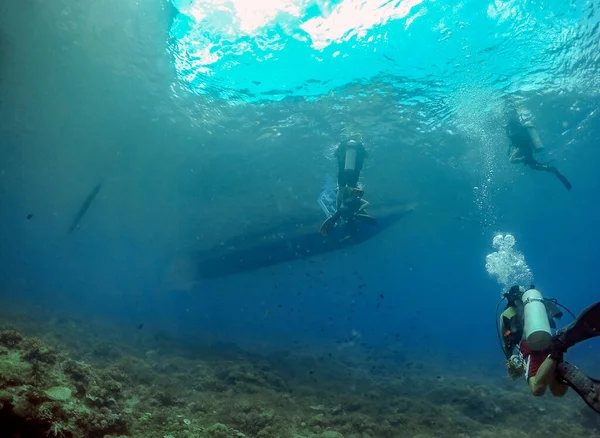 Plongées Sous Marines Dans Les Eaux Claires Nido Palawan Philippines — Photo