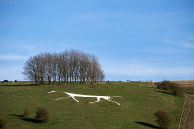 Wiltshire, İngiltere 'deki Marlborough Tepelerinde Hackpen Beyaz Atı.